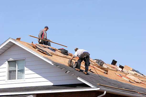 Best Roof Ventilation Installation  in Wilder, ID